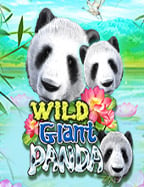 สูตร roma ทดลองเล่นเพื่อชนะสูงสุดในสล็อตออนไลน์